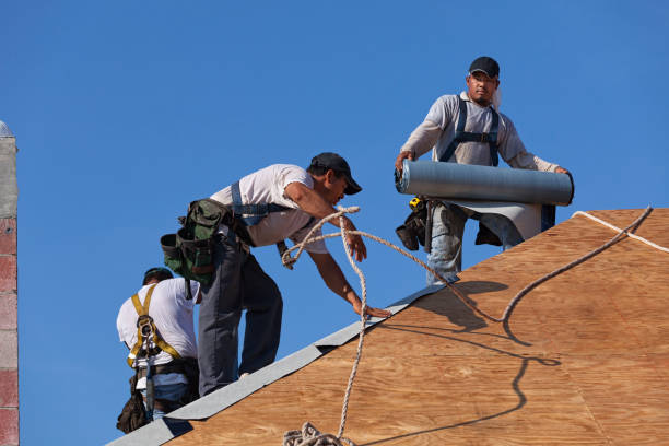 Best Storm Damage Roof Repair  in Twin Grove, IL