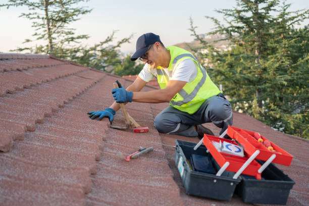 Best Flat Roof Repair Services  in Twin Grove, IL